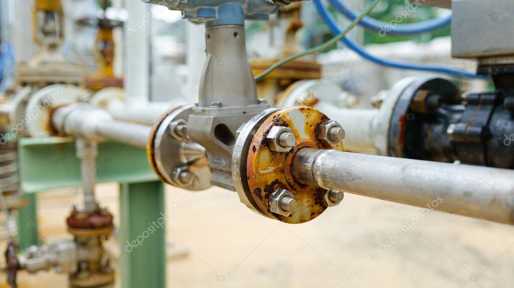 Mechanical seals on process shaft