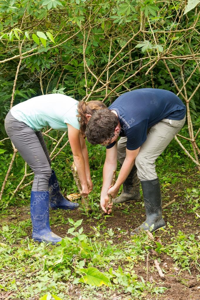 Starch extraction processing line